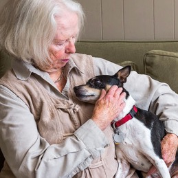 helpingpawfund