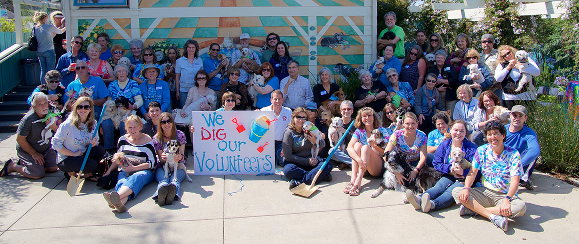 volunteerPartyGroupPhoto2016