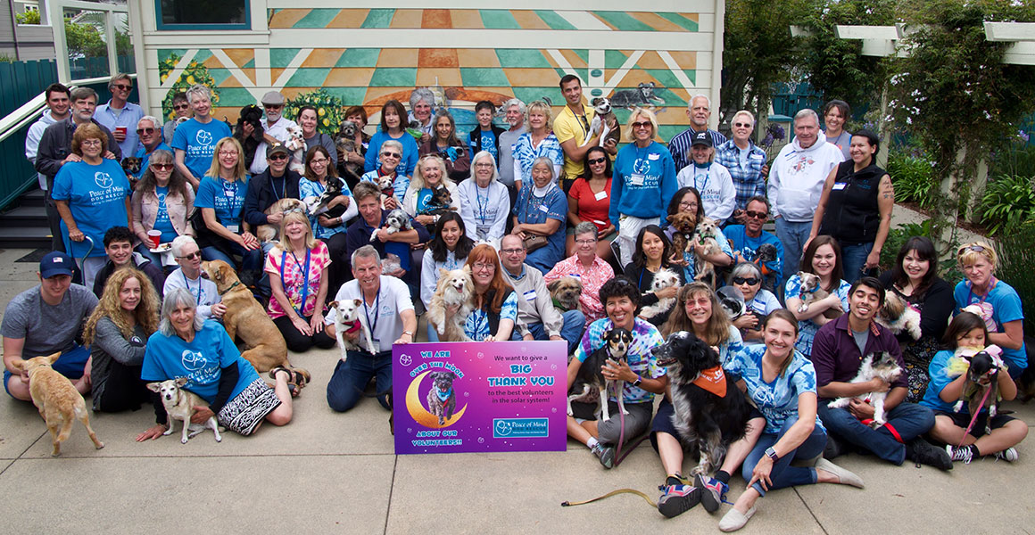 volunteerPartyGroupPhoto2017