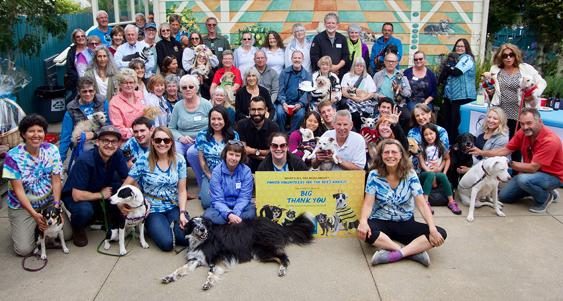 volunteerPartyGroupPhoto2018