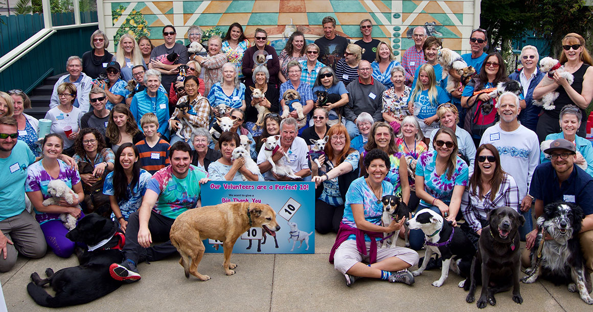 volunteerPartyGroupPhoto2019