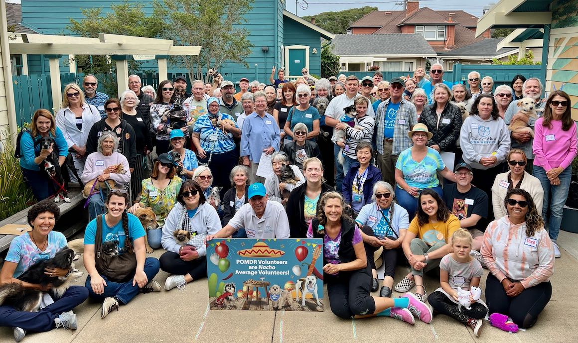 volunteerPartyGroupPhoto2022