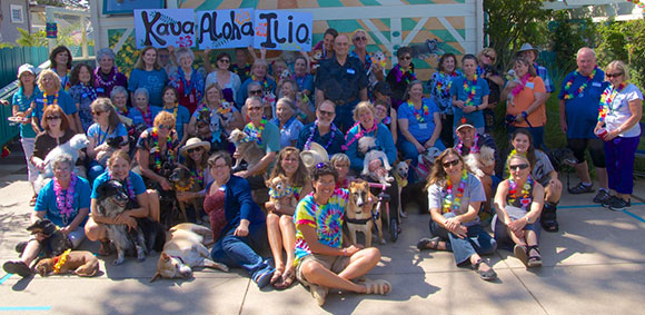 volunteerphoto